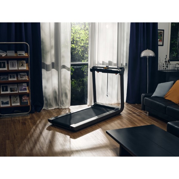 Фото - Беговая дорожка KingSmith WalkingPad Treadmill X218